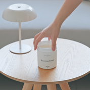 Nước Xịt Phòng Saengong Home Care Khử Mùi Hương Rừng Hoa 380g