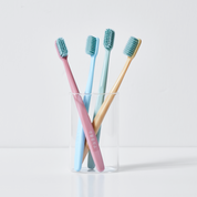 Saengong Ultra Soft Toothbrushes 24 Count