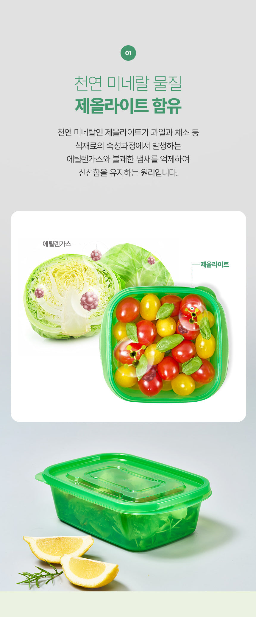 BIGMORE Green Box Fresh Food Container Set, 20 Types / 49 Pieces