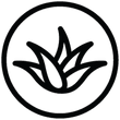 icon_1_3_38b9986f-46b2-4019-95cb-76ac78d3da5a.png